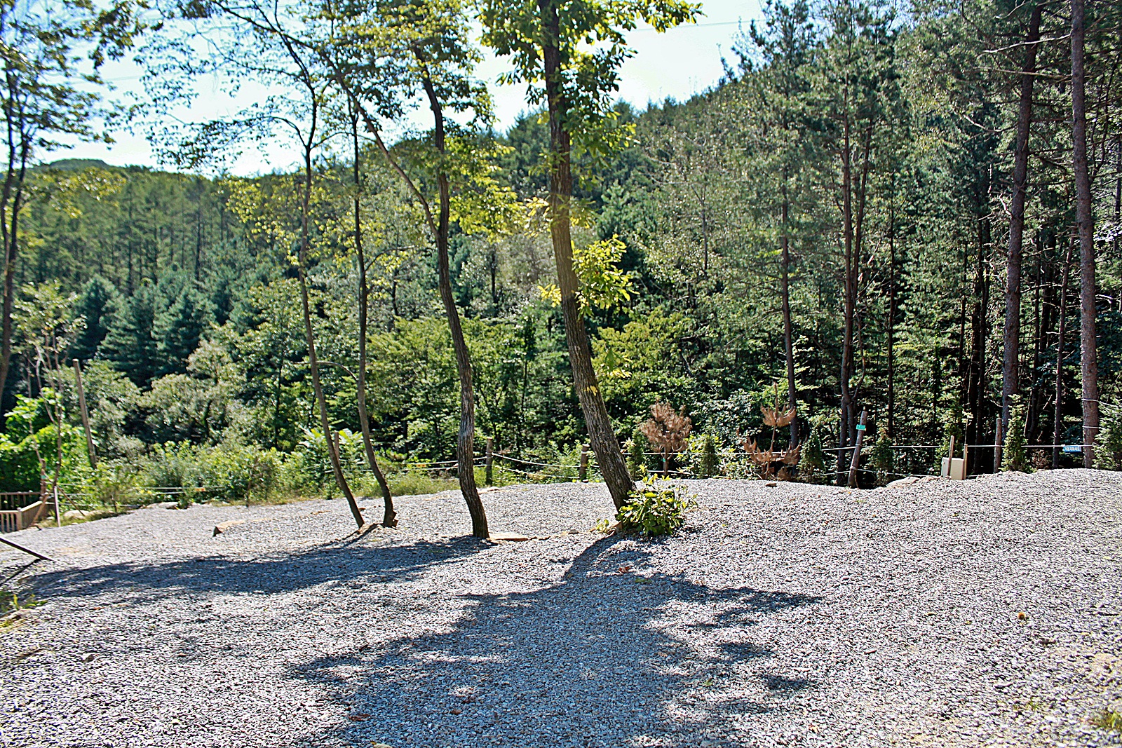 f6 10.JPG
