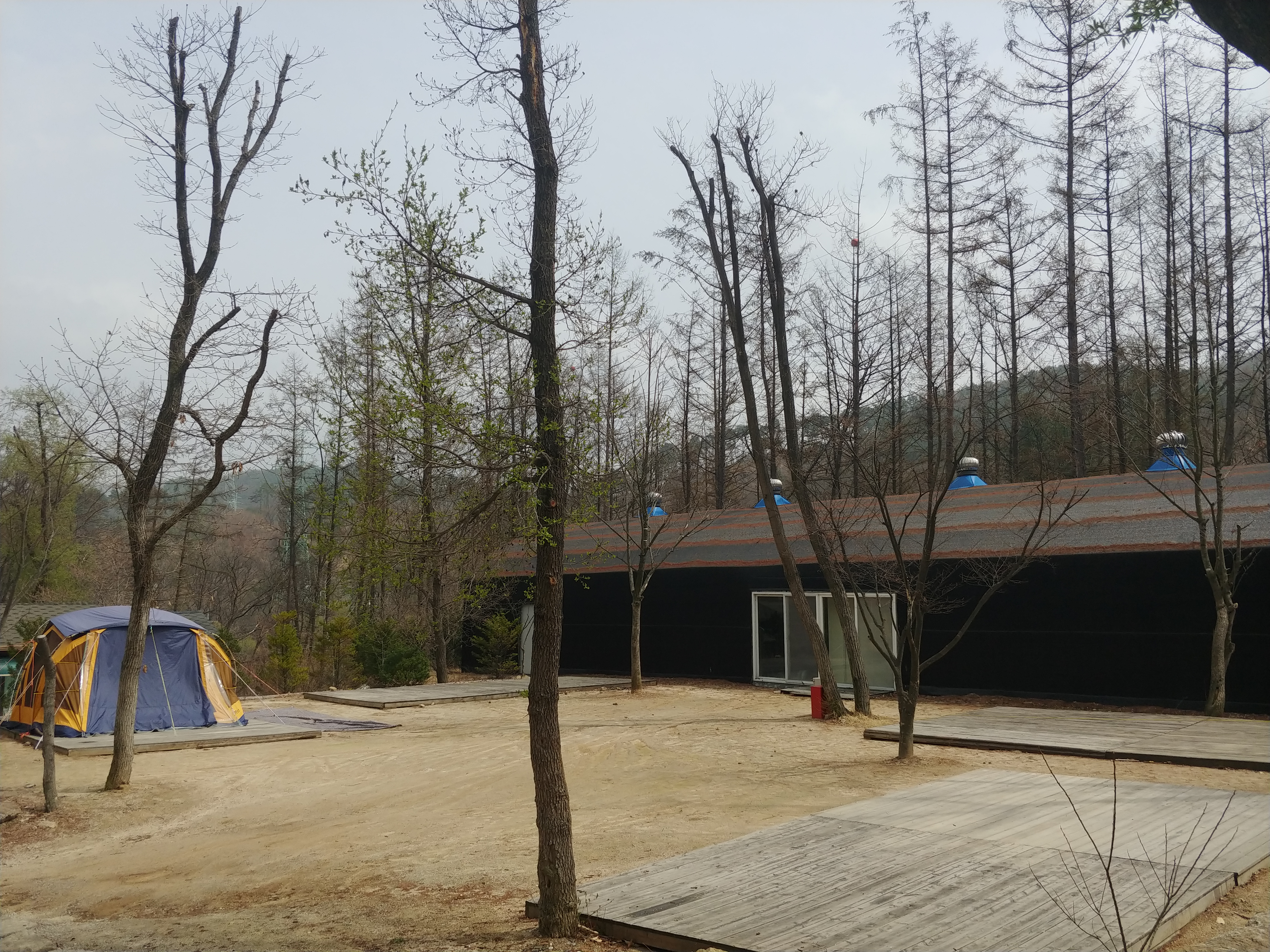 마사데크.jpg