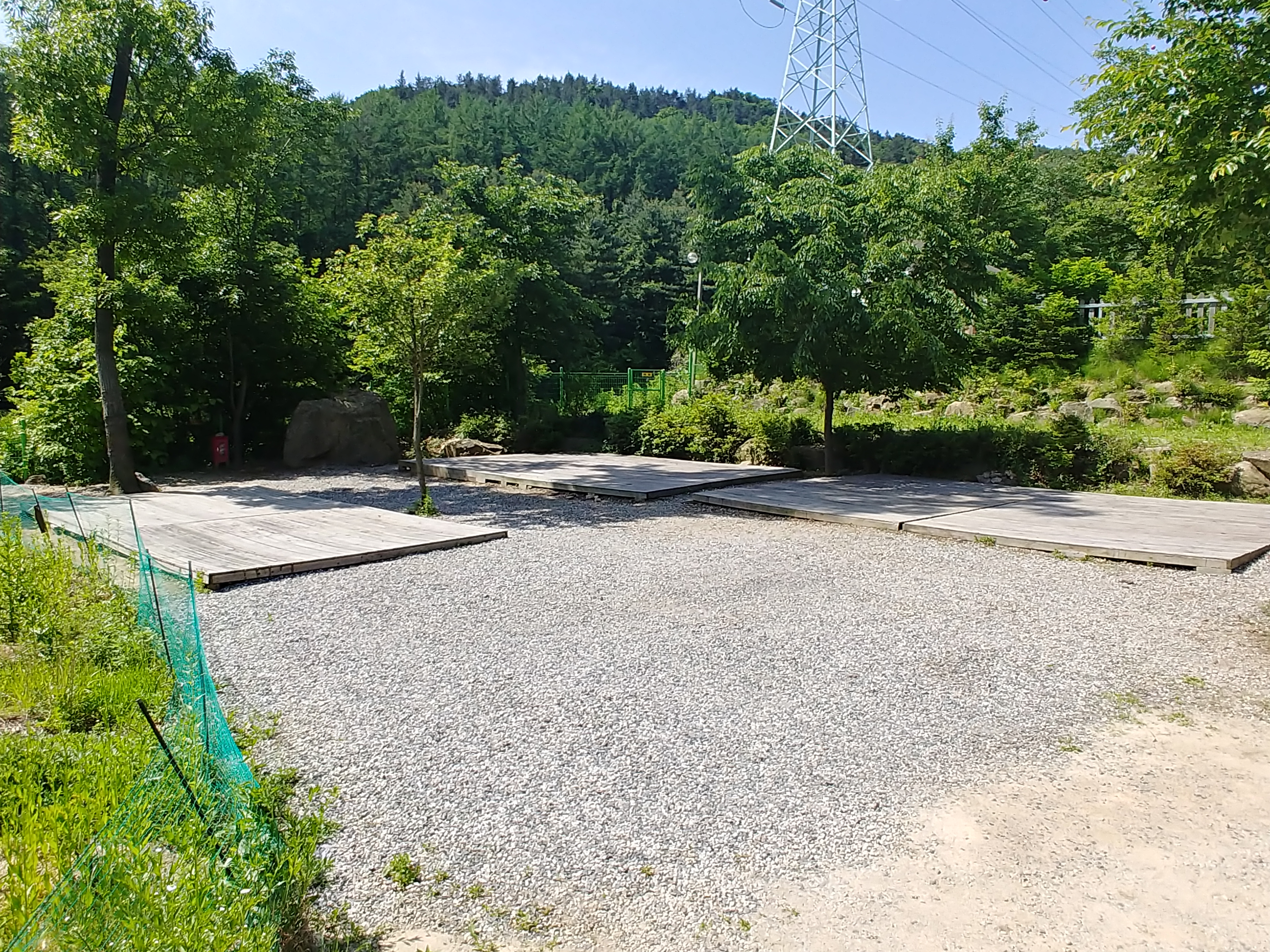 d123.jpg