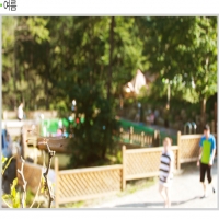 광릉솔개캠핑…